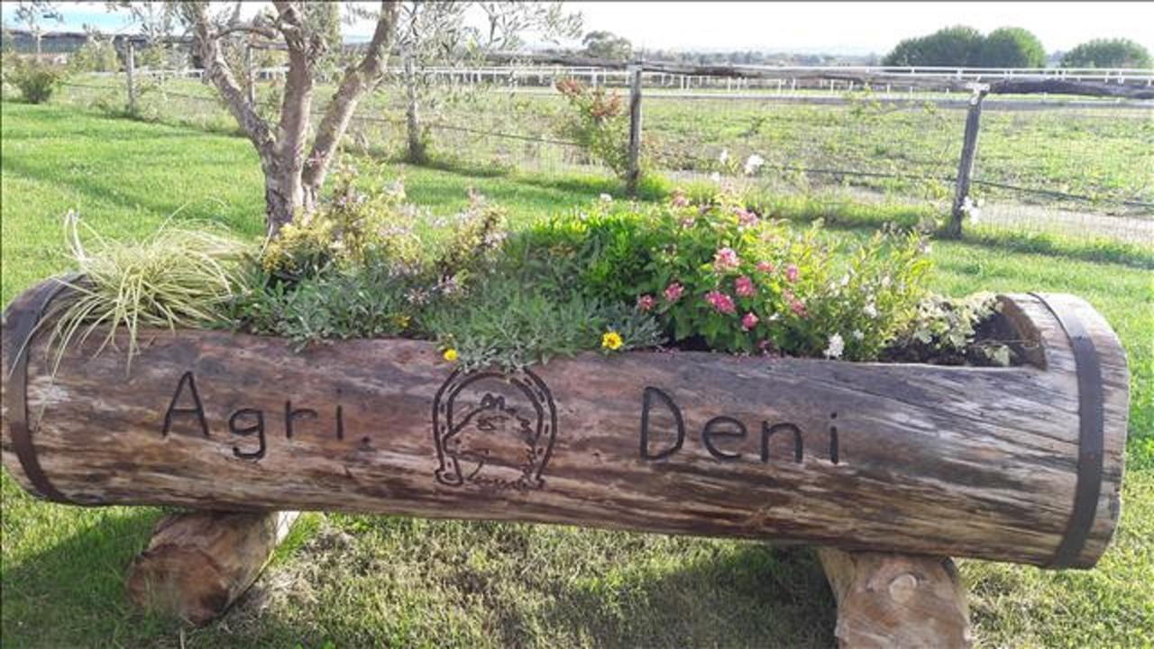 Agriturismo Deni Apartment Cenaia Екстериор снимка